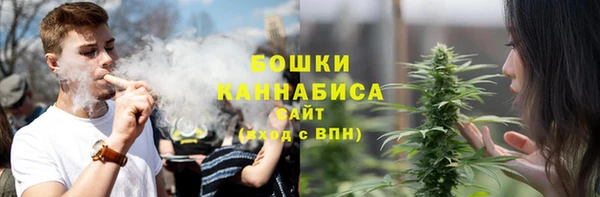 PSILOCYBIN Ладушкин