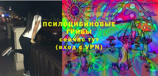 крисы Магас