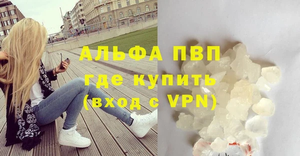 дмт Кизел