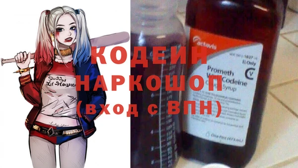 хмурый Кирс