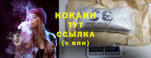 PSILOCYBIN Ладушкин