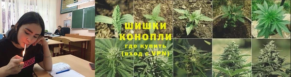 apvp Киселёвск