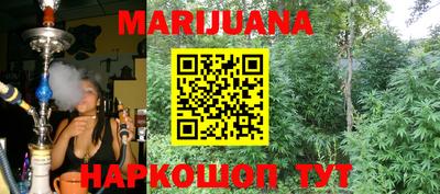 сатива Кингисепп