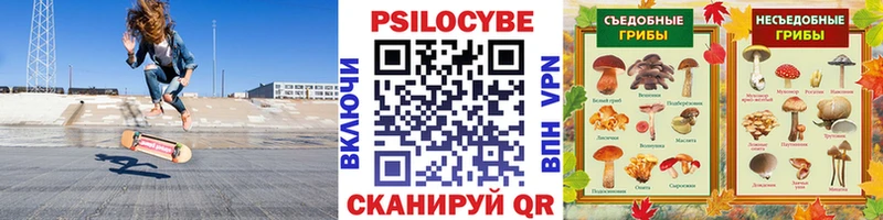 купить наркотики сайты  Нурлат  hydra зеркало  Псилоцибиновые грибы Psilocybe 