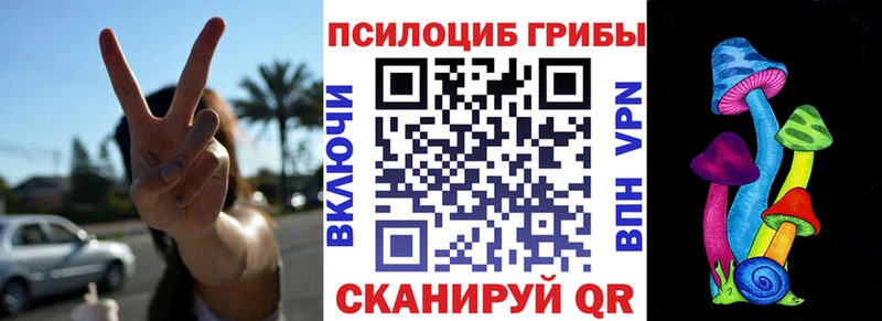 Псилоцибиновые грибы Cubensis Нурлат