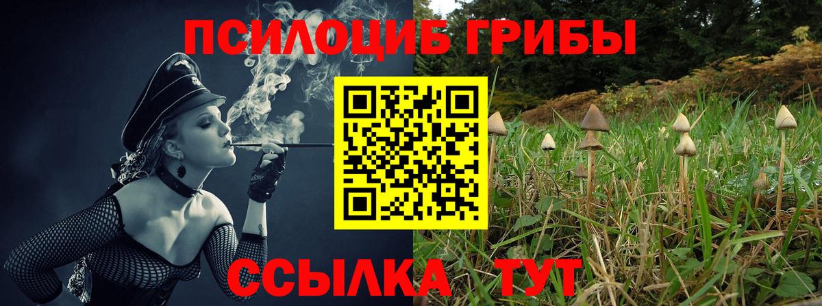 Галлюциногенные грибы ЛСД Нурлат