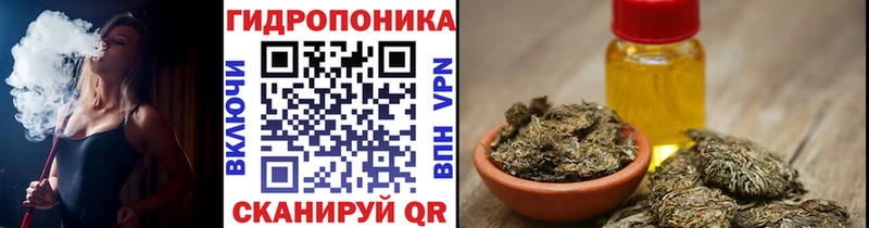 Канабис гибрид  закладка  Нурлат 